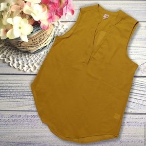 Dizzy Gal • Sheer Sleeveless Blouse Size 1X